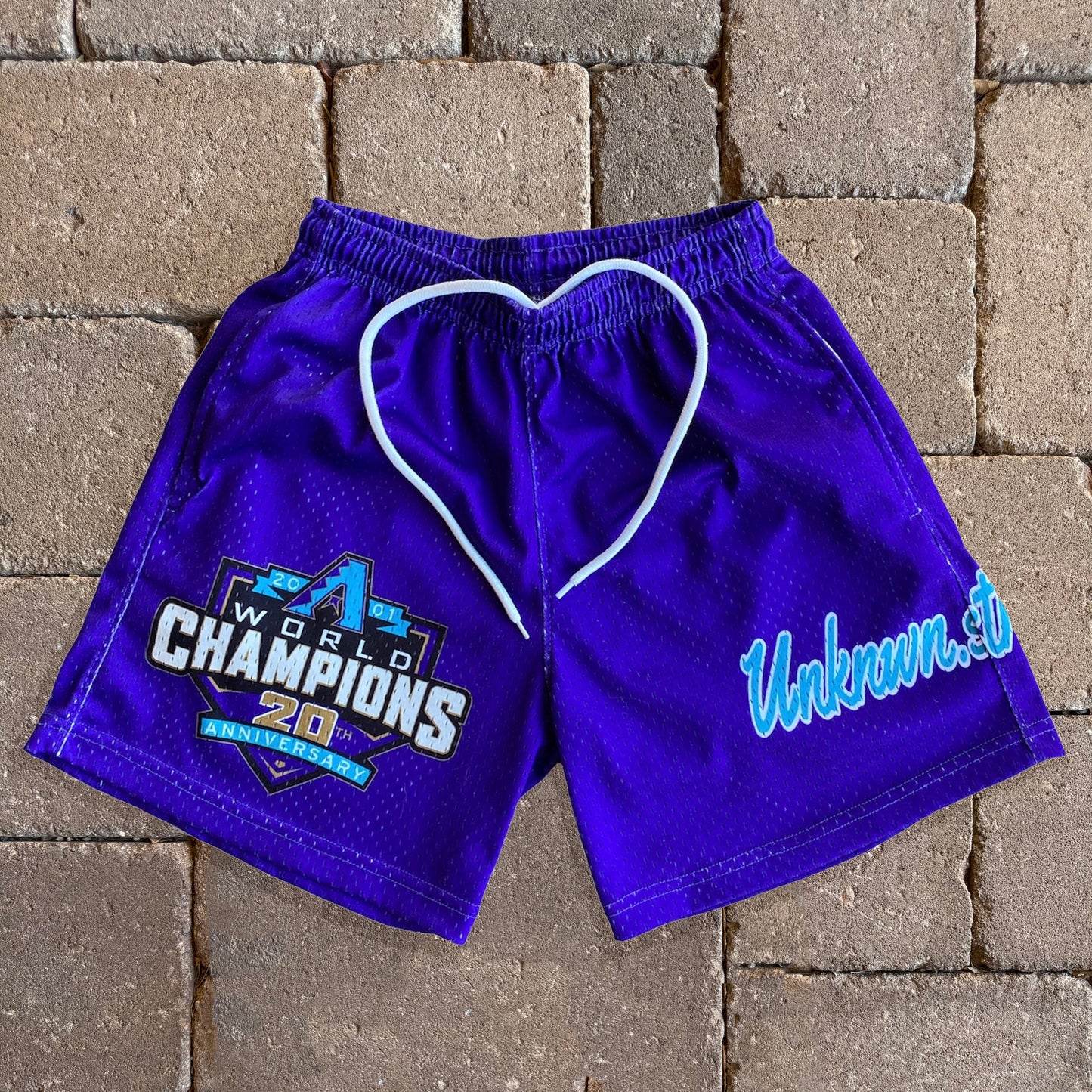 World Champions Print Mesh Shorts