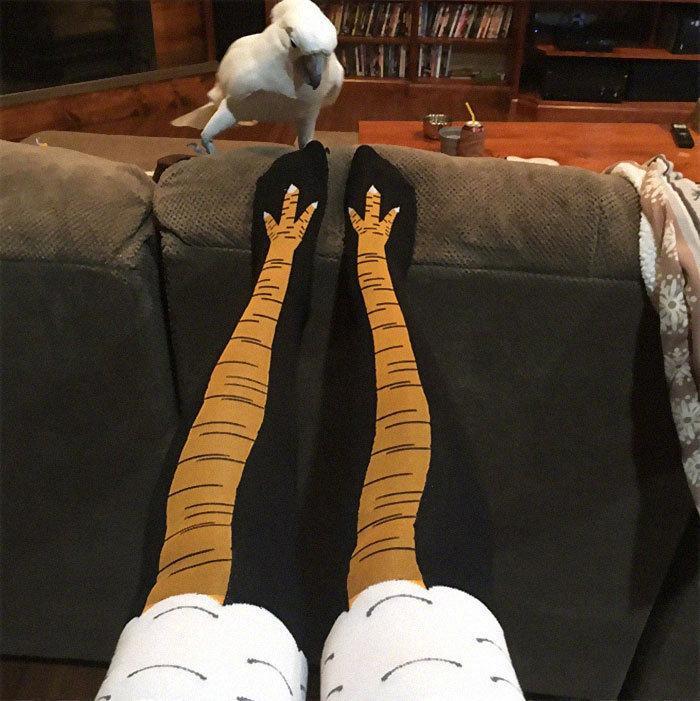 Personality Chicken Feet Print Funny Socks Over the Knee Thigh Socks Fashion Long Tube Color Socks