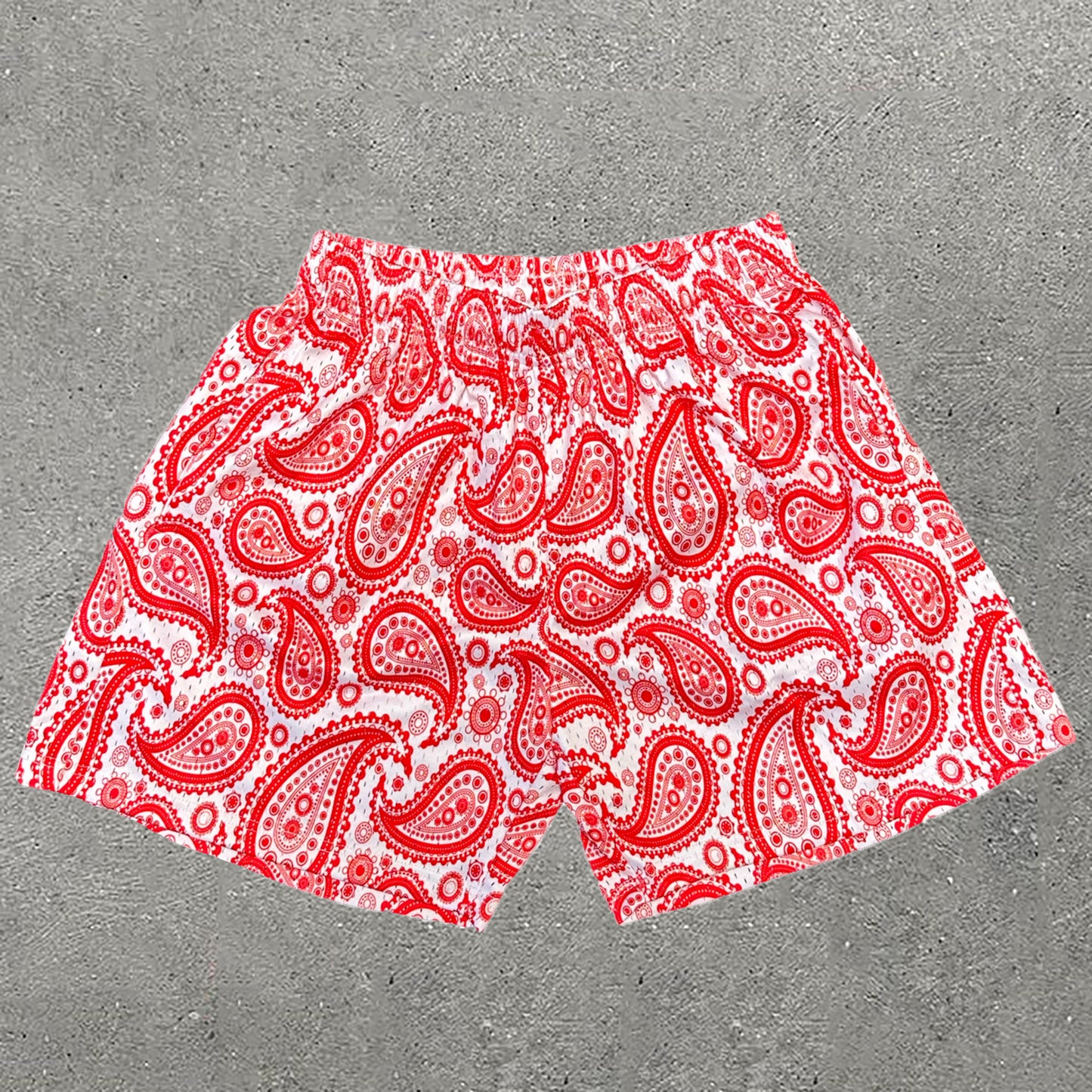 Casual Paisley Print Mesh Shorts